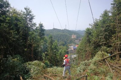 衡東縣電力公司開(kāi)展甘農(nóng)線通道治理
