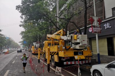 10千伏大寨線并組織開(kāi)展帶電作業(yè)