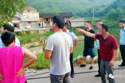 狂風(fēng)吹倒大樹 村民卻向供電公司索賠15萬 大伙怒了！