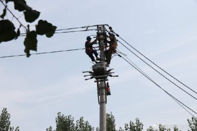 東阿縣供電公司新架設(shè)電桿5基、絕緣導(dǎo)線1000米
