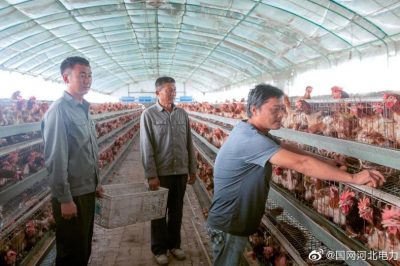 東光縣供電公司購買養(yǎng)殖戶雞蛋助力陳坊村實(shí)現(xiàn)精準(zhǔn)脫貧