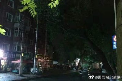 大樹傾倒導致10千伏元合線苗圃線停運并伴有電火現(xiàn)象