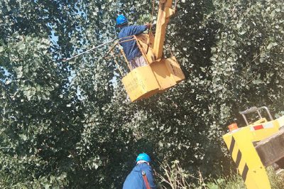 35千伏嚴(yán)西3822線路超高樹木進行修剪