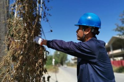 清理纏繞藤蔓 保障設(shè)備安全