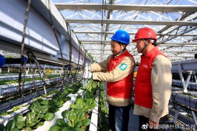 深入梁集鎮(zhèn)現(xiàn)代農(nóng)業(yè)示范園了解用電情況