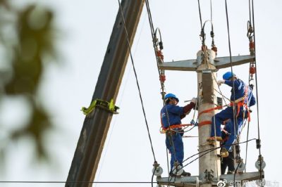 潁上縣劉集鄉(xiāng)兩條10千伏主干線路進(jìn)行集中消缺