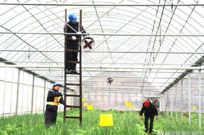 告別2019，我們做到了—上級決策部署全面完成