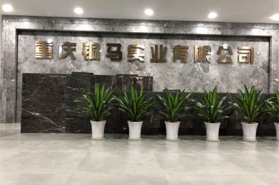 重慶有多少電廠？