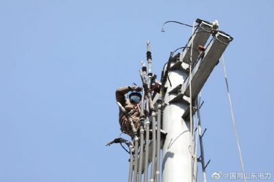 10千伏辛興西線(xiàn)和齊溝線(xiàn)進(jìn)行絕緣化改造