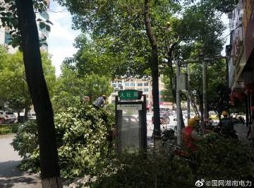 #向配網開戰(zhàn)#風景這邊獨好，砍青掃障