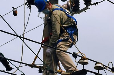 將裸鋁線(xiàn)更換絕緣導(dǎo)線(xiàn)  降低線(xiàn)路跳閘率