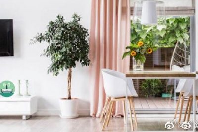 你家這位“偷電大盜”，每個月偷10度電呢