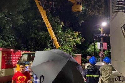 無懼大風(fēng)，連夜搶修供電線路