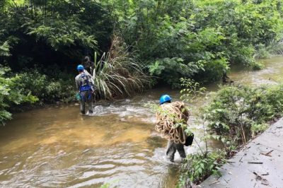 利用X光檢測(cè)設(shè)備對(duì)導(dǎo)線(xiàn)進(jìn)行“全面體檢”