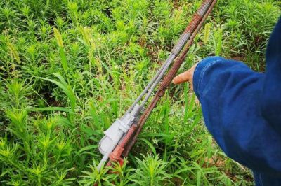 重點(diǎn)檢查防撞標(biāo)識(shí)、接點(diǎn)測(cè)溫、螺栓及拉線松動(dòng)