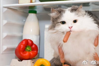 電冰箱省電良方，走過路過別錯(cuò)過??！