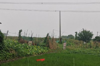 遭遇龍卷風(fēng)突襲10千伏清東線發(fā)生倒桿、斷線事故