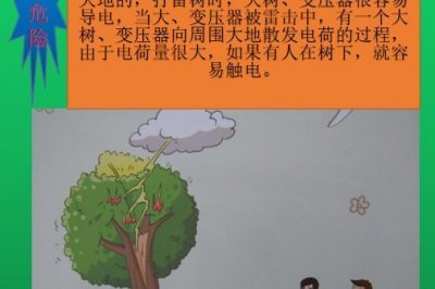 惡劣天氣勿在樹下躲雷電