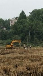 大路坪供電所農(nóng)改施工隊(duì)在新建蕉林村東洋灣臺(tái)區(qū)進(jìn)行立桿作業(yè)