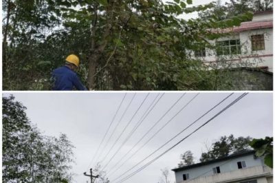 對(duì)10千伏禾臘線消水坨臺(tái)區(qū)、石家寨臺(tái)區(qū)進(jìn)行巡視