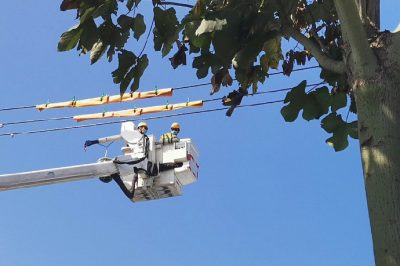 帶電安裝線路狀態(tài)指示儀作業(yè)