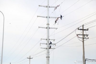 完成15號鐵塔至26號鐵塔的導(dǎo)線敷設(shè)工作