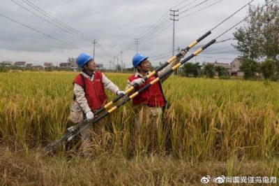 到10千伏五港鎮(zhèn)114支線45號桿緊固拉線螺栓