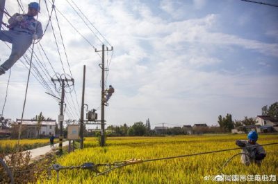 對停電范圍內的線路進行綜合檢修