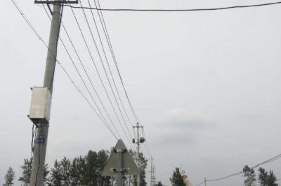 對位于稻田里的10千伏線路開展特巡