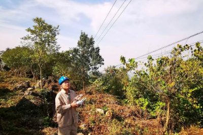 無(wú)人機(jī)配電線路巡檢 智能技術(shù)保障電網(wǎng)安全