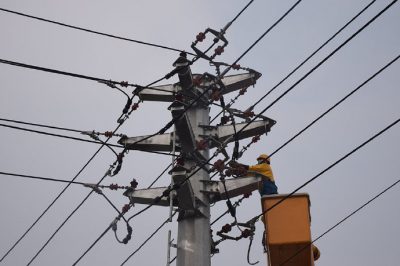 在10千伏振興線6號(hào)桿開展帶電作業(yè)