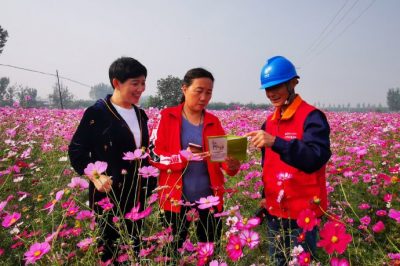 對(duì)玉山店村百畝格桑花所在線路進(jìn)行全方位的巡視排查