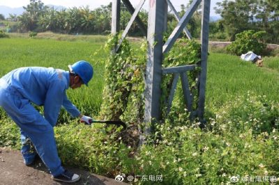 清除纏繞藤蔓，為桿塔“理發(fā)”