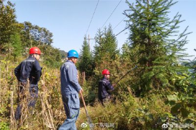 黨員擔(dān)模范 護(hù)航穩(wěn)供電