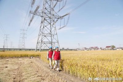 特巡“泰吳線”確保進博會可靠供電