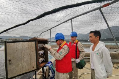 對寶應湖農(nóng)場一大隊2號綜合變共54戶表計進行更換，