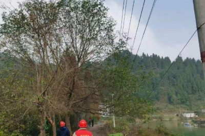 對(duì)10千伏杜民線和10千伏杜綿線進(jìn)行特巡