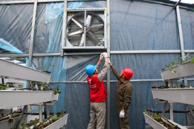 開展用電設(shè)備檢查和安全知識宣傳工作