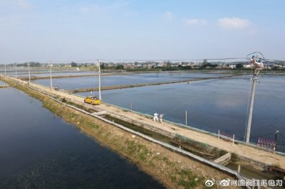 漣水縣金綠園水產(chǎn)養(yǎng)殖場架設(shè)10千伏線路